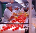 /album/fotogaleria/procesando-productos-agricolas-jpeg/